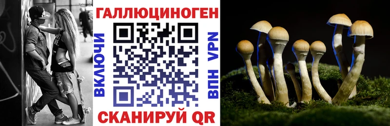 Псилоцибиновые грибы мицелий  сколько стоит  Рославль 